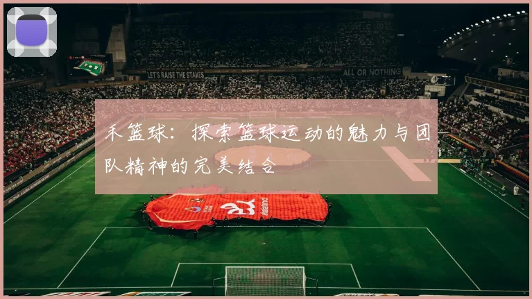 禾篮球：探索篮球运动的魅力与团队精神的完美结合