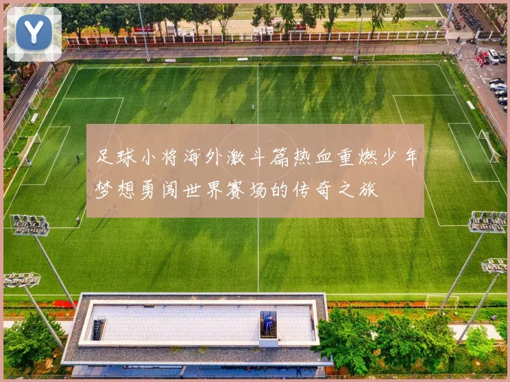足球小将海外激斗篇热血重燃少年梦想勇闯世界赛场的传奇之旅