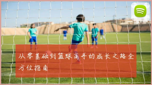 从零基础到篮球高手的成长之路全方位指南