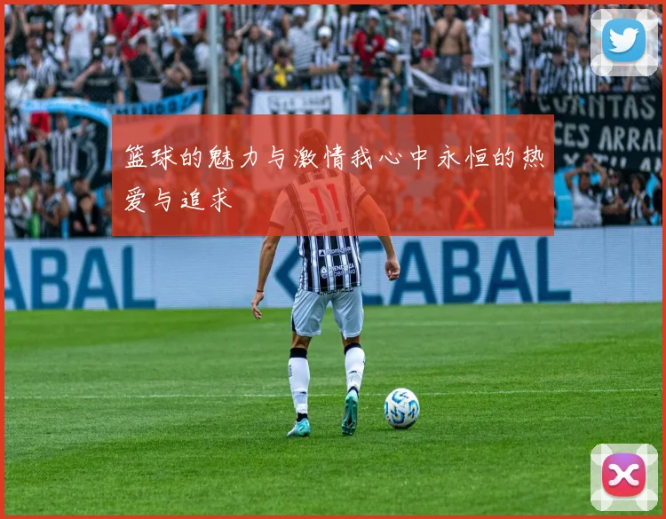 篮球的魅力与激情我心中永恒的热爱与追求