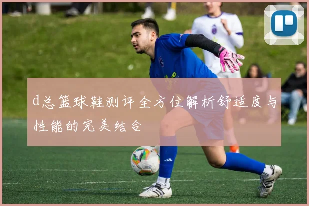 d总篮球鞋测评全方位解析舒适度与性能的完美结合