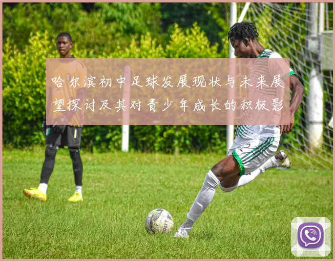 哈尔滨初中足球发展现状与未来展望探讨及其对青少年成长的积极影响