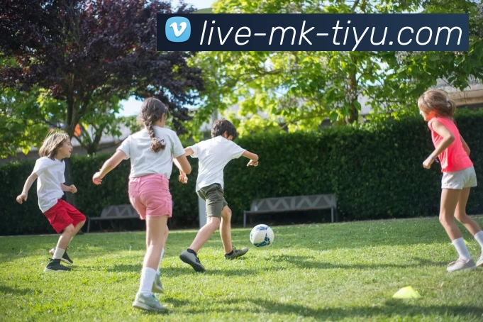 多媒体互动体验