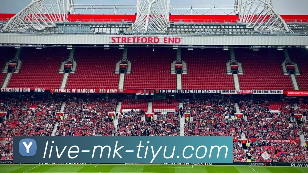 MK体育APP 高清赛事图